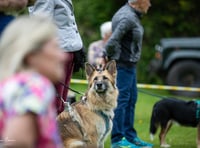 Exciting events ahead for animal lovers and their canine companions