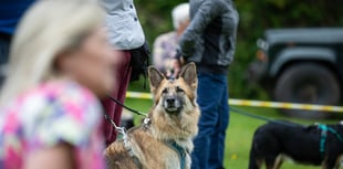 Exciting events ahead for animal lovers and their canine companions