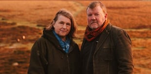 Are the tors of Dartmoor alive? New exhibition asks