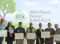 Moor Trees charity wins Devon award