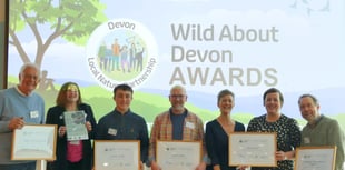 Moor Trees charity wins Devon award