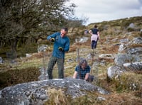 Work underway to double the size of Wistman's Wood