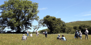 Gardeners needed for plant count