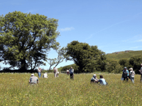 Gardeners needed for plant count