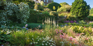 The Garden House celebrates 80th anniversary with fundraising events
