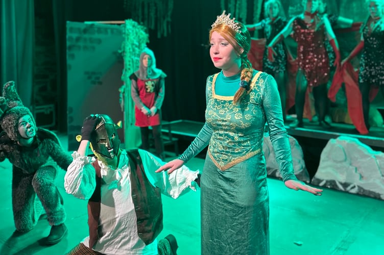 Thelonious, Donkey and Princess Fiona in Shrek by Tavistock Children's Theatre Club.