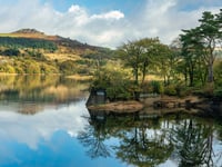 Emergency response to car dumped in reservoir