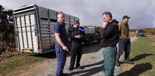 Police warn farmers after thefts on Dartmoor