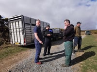 Police warn farmers after thefts on Dartmoor