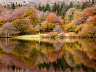 Photography competition celebrates 25 years of SW Lakes Trust