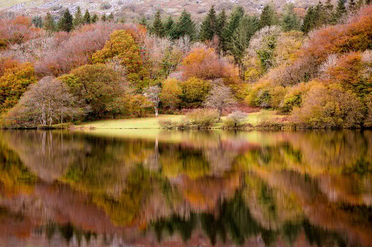 Anna Curnow was named overall winner in the South West Lakes Trust photography competition last year, with this stunning image of Burrator Reservoir. 