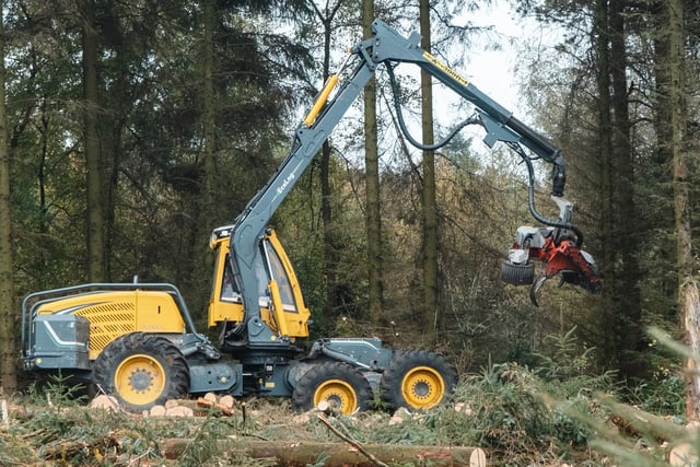 Timber harvesting begins at Bellever Forest