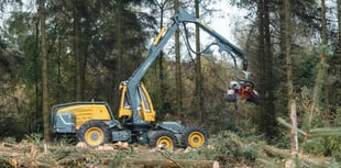 Timber harvesting begins at Bellever Forest
