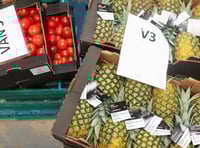 FareShare needs space, volunteers to fight food waste