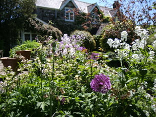 Dartmoor village stages open gardens event
