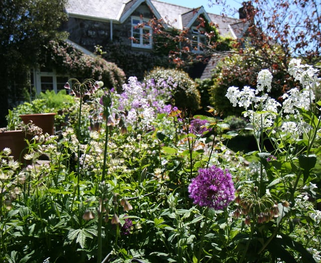 Dartmoor village stages open gardens event