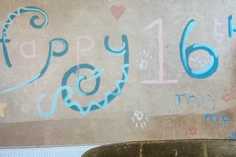 A 'Happy 16th' slogan is daubed on the wall of a Tavistock squat by a mystery young girl who author Laurence Shelley is hoping will come forward.