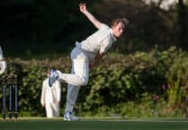 Opening day defeat for Yelverton Bohemians Cricket Club