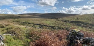 Walkhampton Common is made official