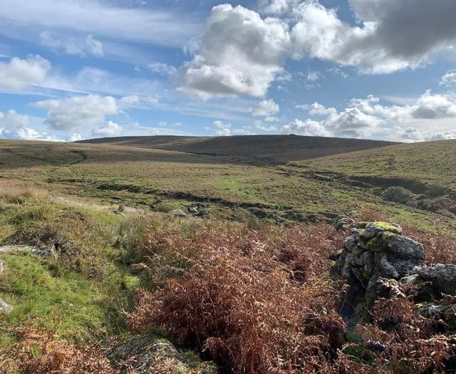 Walkhampton Common is made official