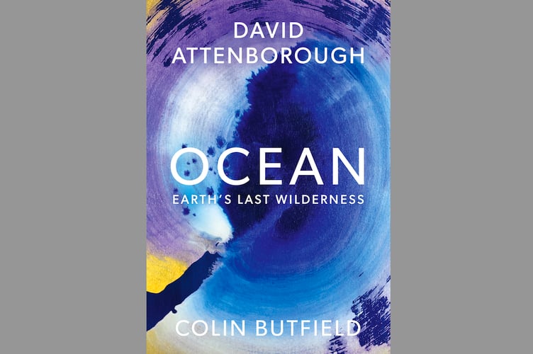 Ocean book cover.