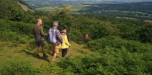 New Tamar Valley art project invites refugees to connect with nature 