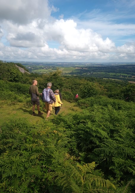 A new art project will be inviting refugees in to the Tamar Valley to help them connect with the local nature. (Picture: Tamar Valley National Landscape)
