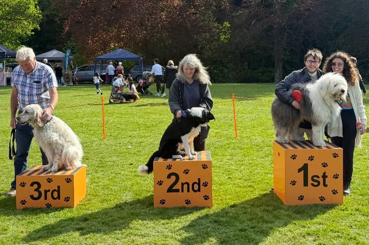 Gables dog competition winners.