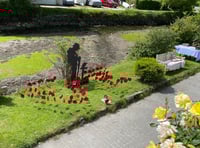 Villagers come together for poignant VE Day 80 celebrations