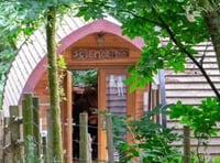 School in the woods allowed to operate permanently on Dartmoor