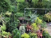 Small garden opens to public