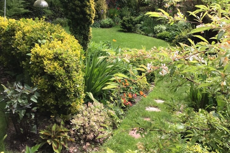 A small private Whitchurch garden is open as part of the National Garden Scheme.