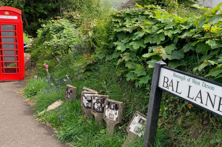 The project to refurbish the phone box into a museum celebrating the mining heritage of the village was made possible through a grant from Farming in Protected Landscapes via Dartmoor National Park Authority. (Picture: Sarah Martin)