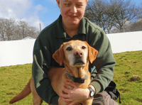 Ten dogs saved from miserable years of neglect