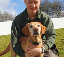 Ten dogs saved from miserable years of neglect