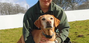 Ten dogs saved from miserable years of neglect