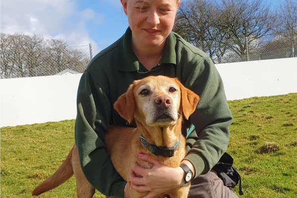 The dogs endured many, miserable years of irresponsible breeding and neglect.
