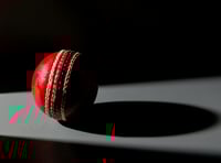 Whitchurch cricketer is 80 not out to Ivybridge