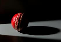 Whitchurch cricketer is 80 not out to Ivybridge