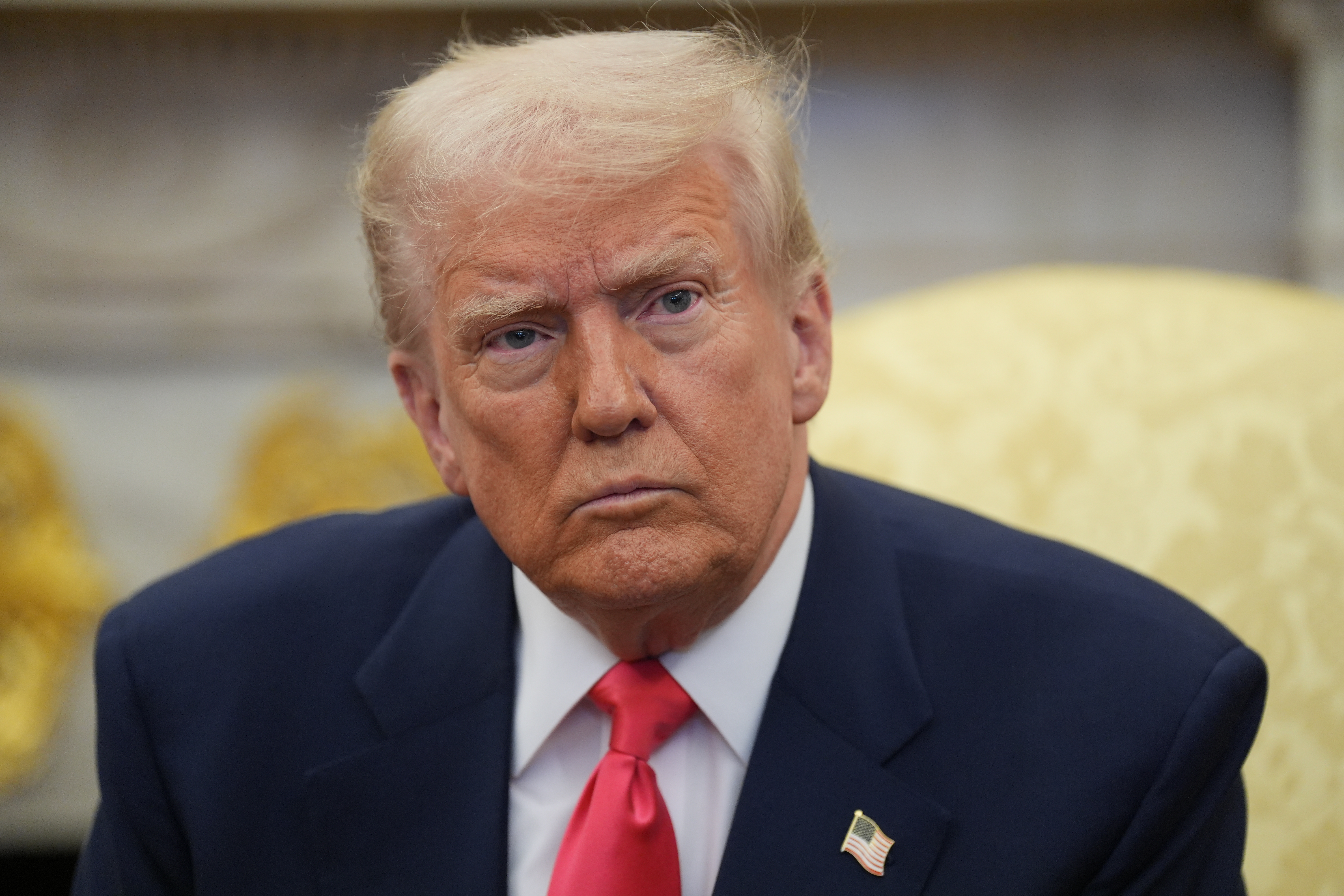 Dozens of West Devon people back campaign to cancel Donald Trump's state visit