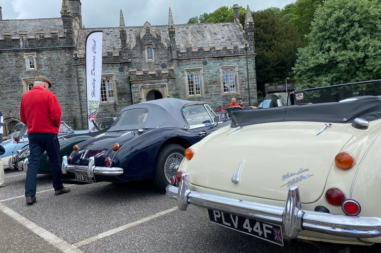 The curvaceous boots of the Austin Healey sports cars line up in Tavistock's Bedford Square for a rally of the model.