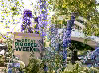 Okehampton's eco-events for Great Big Green Week