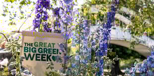 Okehampton's eco-events for Great Big Green Week