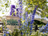 Okehampton's eco-events for Great Big Green Week