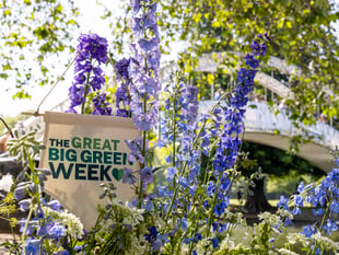Okehampton's eco-events for Great Big Green Week
