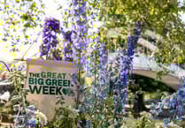 Join Okehampton's Great Big Green Week activities
