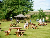 National Beer Garden Day: celebrate by supporting your local in West Devon, as pubs and bars continue to shut across the UK