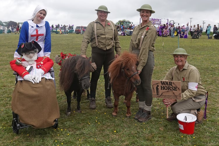 Bere Alston Carnival - Collytown Stud portraying War Horse with their Shetland Ponies. Picture Ann Parsons.