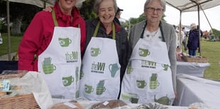 Village charity fun day a success