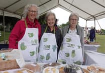 Bere Alston Fun Day a success